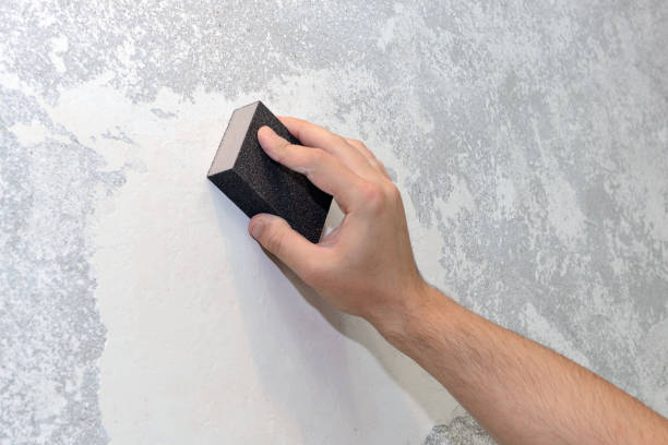 Best Mold Odor Removal Services  in Garnett, KS