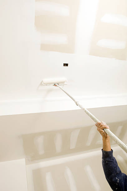 Professional Mold Removal in Garnett, KS